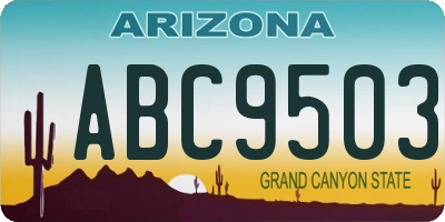 AZ license plate ABC9503