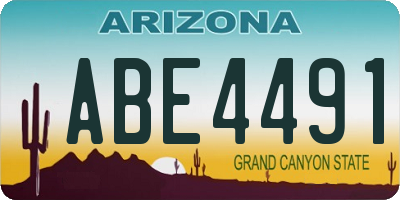 AZ license plate ABE4491