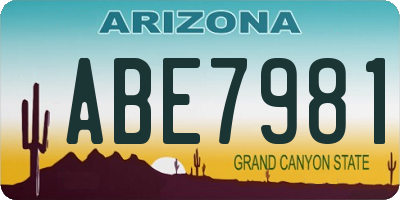 AZ license plate ABE7981