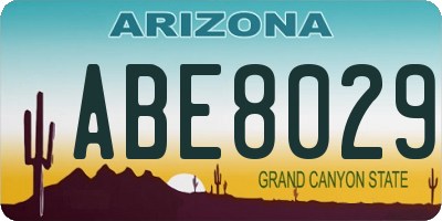 AZ license plate ABE8029