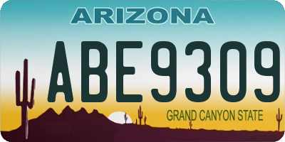 AZ license plate ABE9309