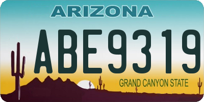 AZ license plate ABE9319