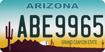 AZ license plate ABE9965