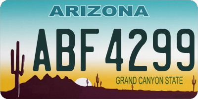 AZ license plate ABF4299