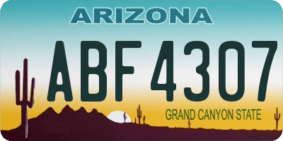 AZ license plate ABF4307
