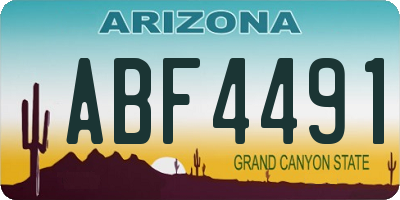 AZ license plate ABF4491