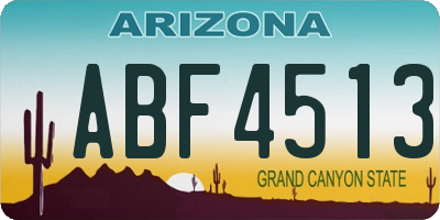 AZ license plate ABF4513