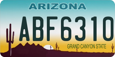 AZ license plate ABF6310