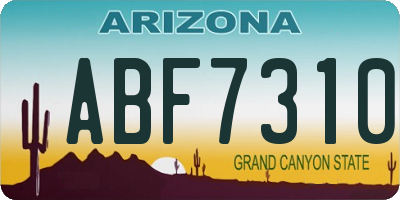 AZ license plate ABF7310