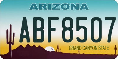 AZ license plate ABF8507