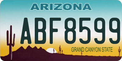 AZ license plate ABF8599