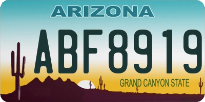 AZ license plate ABF8919