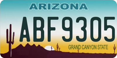 AZ license plate ABF9305