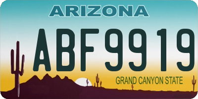 AZ license plate ABF9919
