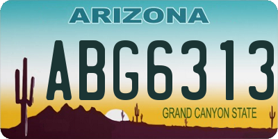 AZ license plate ABG6313