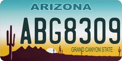 AZ license plate ABG8309