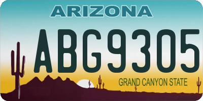 AZ license plate ABG9305