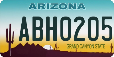 AZ license plate ABH0205