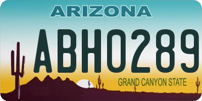 AZ license plate ABH0289