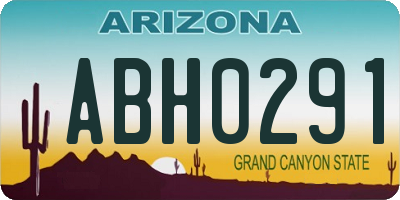AZ license plate ABH0291