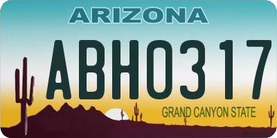 AZ license plate ABH0317