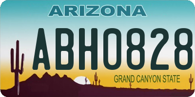 AZ license plate ABH0828