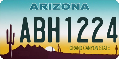 AZ license plate ABH1224