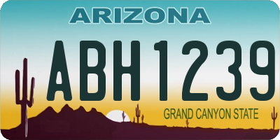 AZ license plate ABH1239
