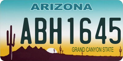 AZ license plate ABH1645