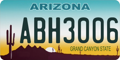 AZ license plate ABH3006