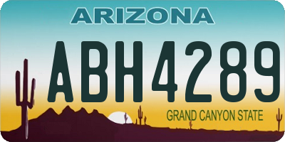 AZ license plate ABH4289