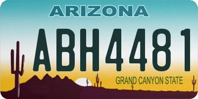 AZ license plate ABH4481