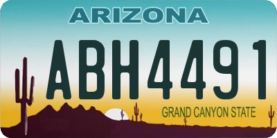 AZ license plate ABH4491