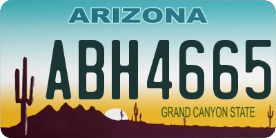 AZ license plate ABH4665