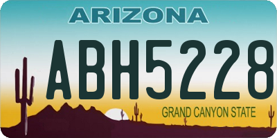 AZ license plate ABH5228