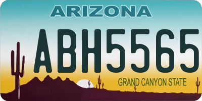 AZ license plate ABH5565