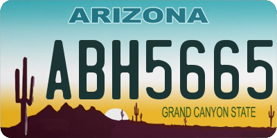 AZ license plate ABH5665