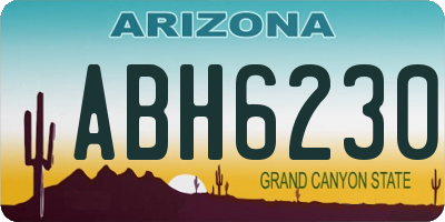 AZ license plate ABH6230