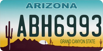 AZ license plate ABH6993