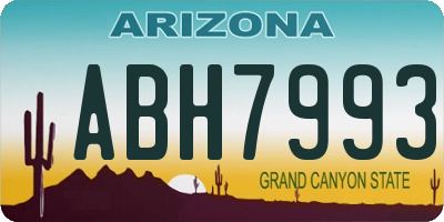 AZ license plate ABH7993