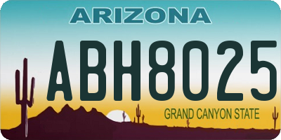 AZ license plate ABH8025