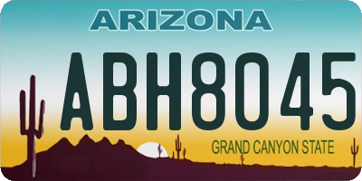 AZ license plate ABH8045