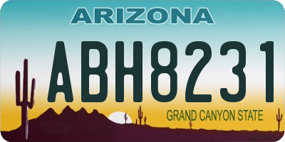 AZ license plate ABH8231