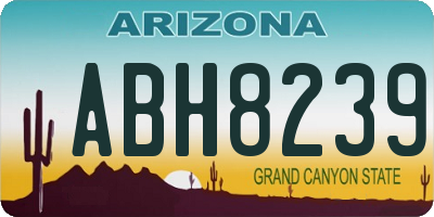 AZ license plate ABH8239