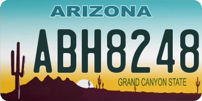 AZ license plate ABH8248
