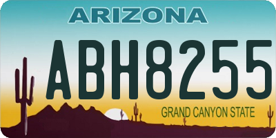 AZ license plate ABH8255