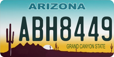 AZ license plate ABH8449