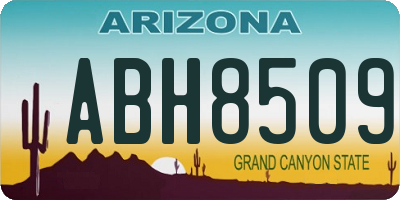 AZ license plate ABH8509