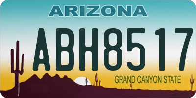 AZ license plate ABH8517