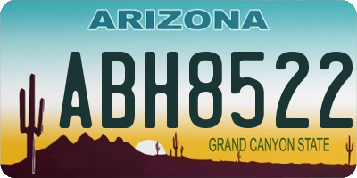 AZ license plate ABH8522